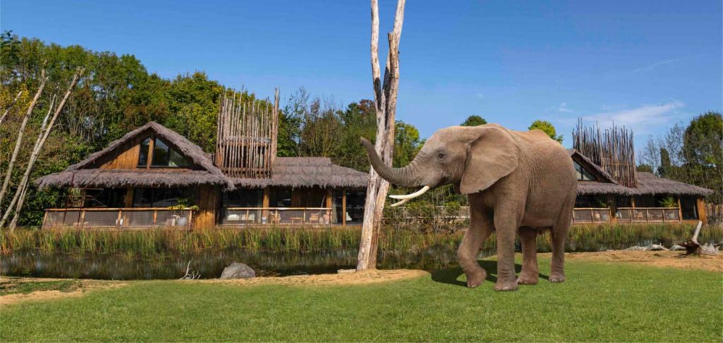 White Haus builds West Midland Safari Park holiday lodges
